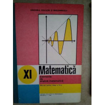 Matematica, elemente de analiza matematica