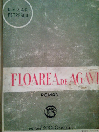 Floarea de Agave