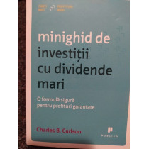 Minighid de investitii cu dividende mari