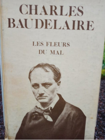 Les fleurs du mal