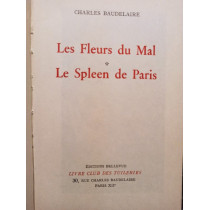 Les Fleurs du Mal. Le Spleen de Paris