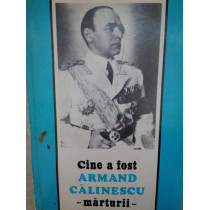 Cine a fost Armand Calinescu. Marturii