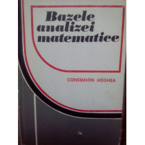 Bazele analizei matematice