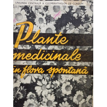 Plante medicinale din flora spontana