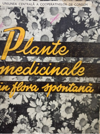 Plante medicinale din flora spontana