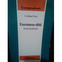 Executarea silita. Practica judiciara