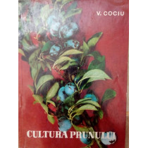 Cultura prunului