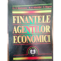 Finantele agentilor economici