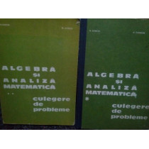 Algebra si analiza matematica culgere de probleme, 2 vol.