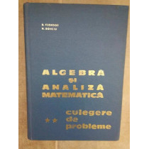 Algebra si analiza matematica culgere de probleme, vol. 2