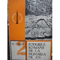 Podurile romane de la Dunarea de Jos