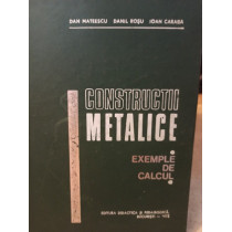 Constructii metalice exemple de calcul