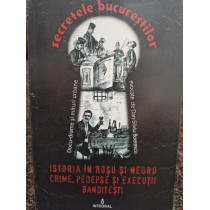 Dan Silviu Boerescu - Istoria in rosu si negru, crime, pedepse si executii banditesti