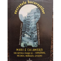 Dan Silviu Boerescu - Marile calamitati din istoria orasului