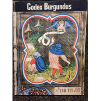 Codex Burgundus