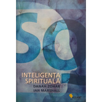 Inteligenta spirituala