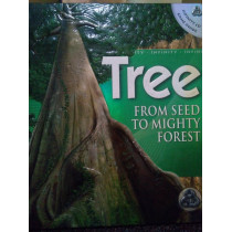 Tree from seed to mighty forest