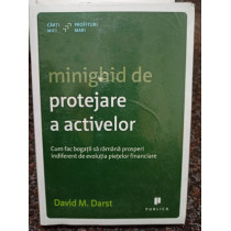 Minighid de protejare a activelor