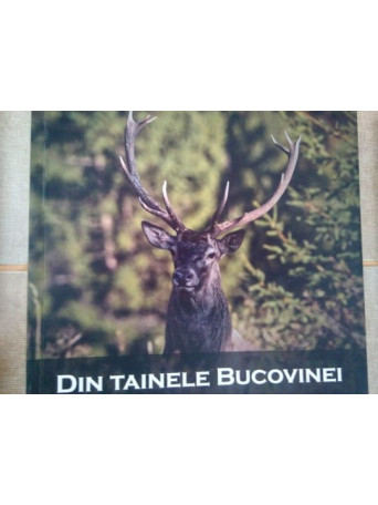 Din tainele Bucovinei - Brosata