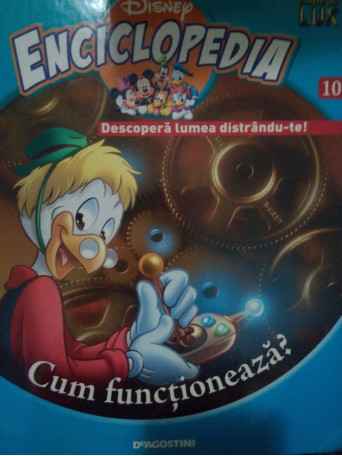 Cum functioneaza?