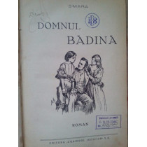 Domnul Badina