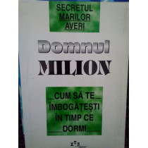 Domnul Milion. Secretul marilor averi