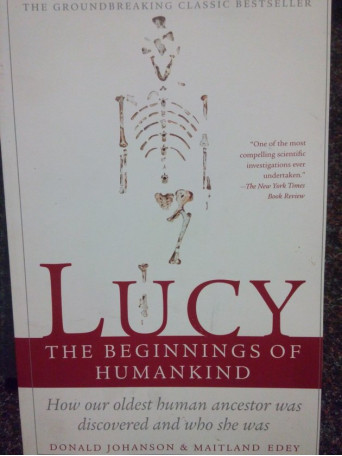 Lucy the beginnings of humankind