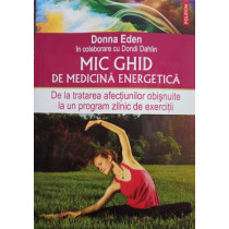 Mic ghid de medicina energetica