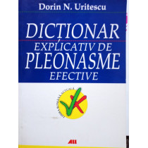 Dictionar explicativ de pleonasme efective