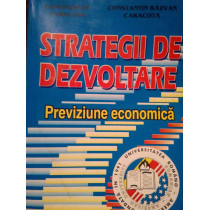 Strategii de dezvoltare