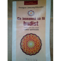 Ce inseamna sa fii budist, pentru cei care cauta calea spirituala