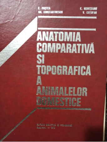 Anatomia comparativa si topografica a animalelor domestice