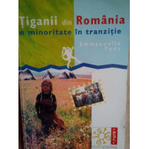 Tiganii din Romania o minoritate in tranzitie