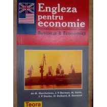 Engleza pentru economie