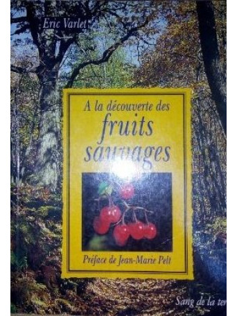 A LA DECOUVERTE DES FRUITS SAUVAGES