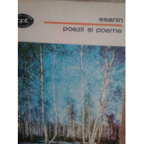 Poezii si poeme