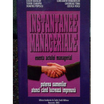 Instantanee manageriale