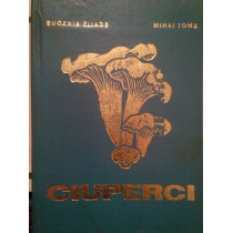 Ciuperci