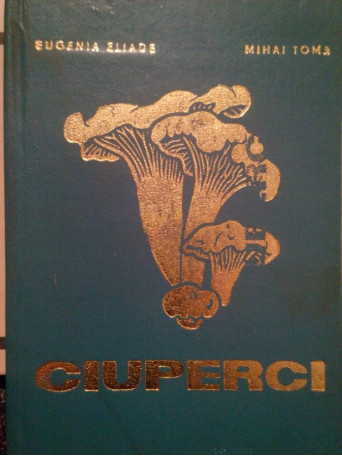 Ciuperci