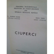 Ciuperci