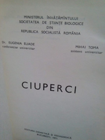 Ciuperci