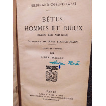 Betes, hommes et dieux