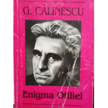 Enigma Otiliei