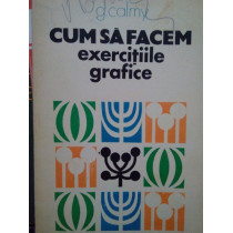 Cum sa facem exercitiile grafice