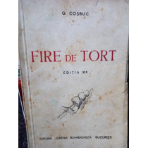 Fire de tort, editia XIX