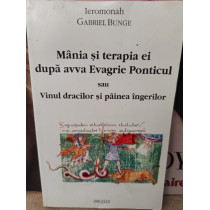 Mania si terapia ei dupa avva Evagrie Ponticul sau Vinul dracilor si painea ingerilor