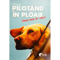 Pilotand in ploaie