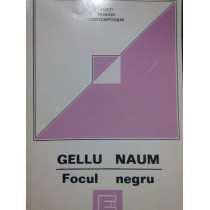 Focul negru