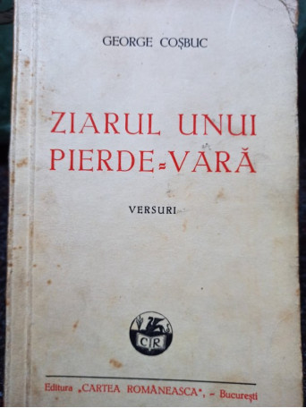 Ziarul unui pierdevara