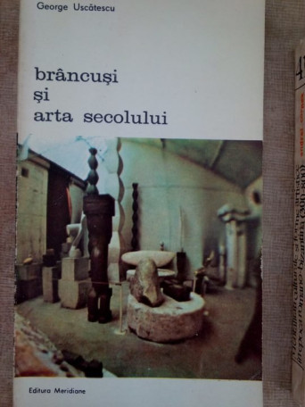 Brancusi si arta secolului